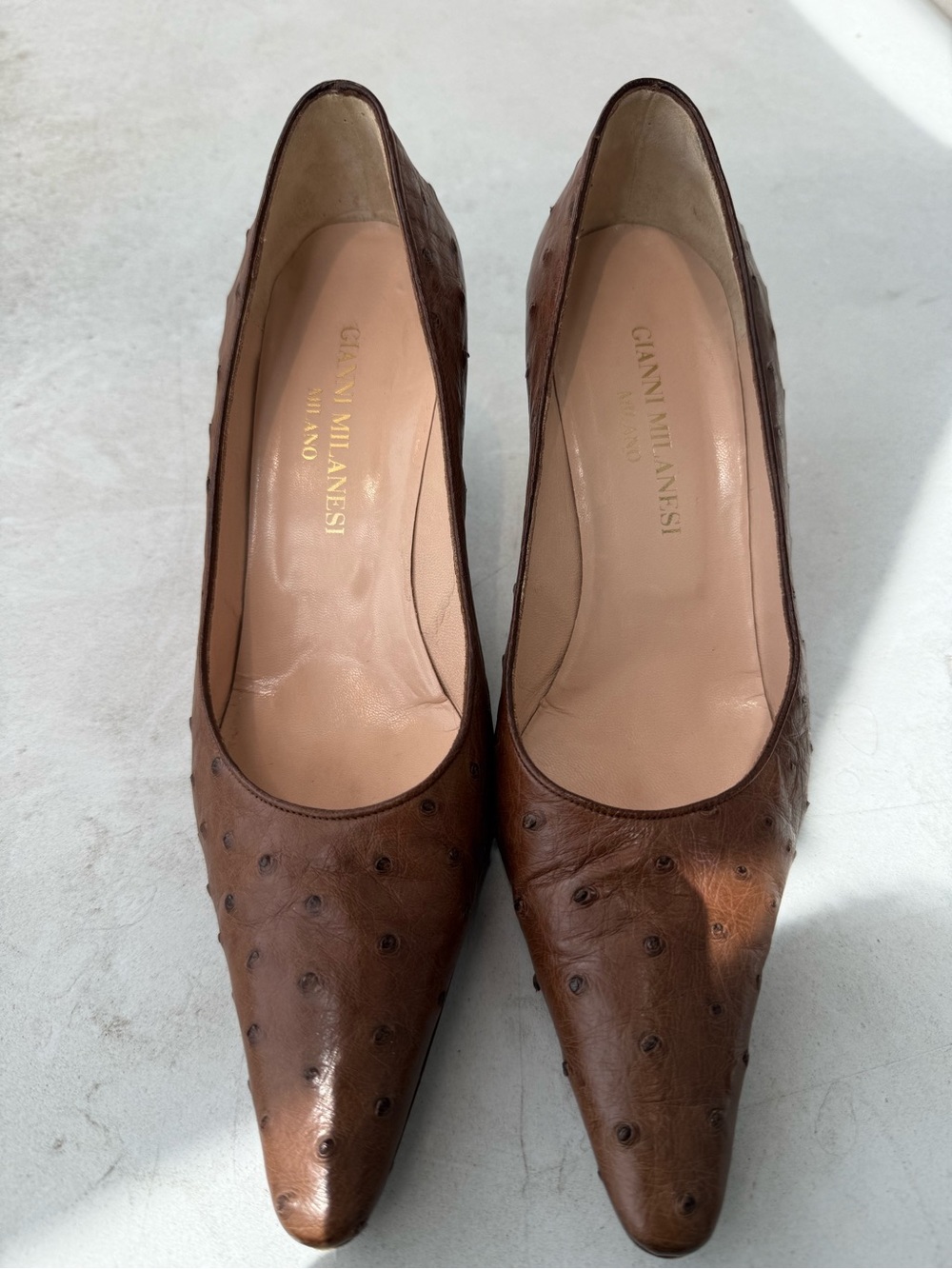 Brown Leather Ostrich-Texture Pointed Toe Heels